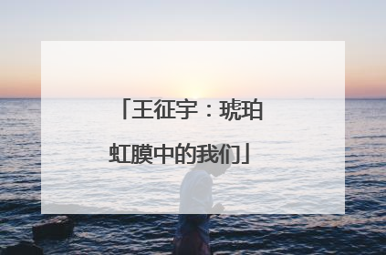 王征宇：琥珀虹膜中的我们