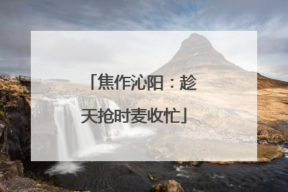 焦作沁阳：趁天抢时麦收忙