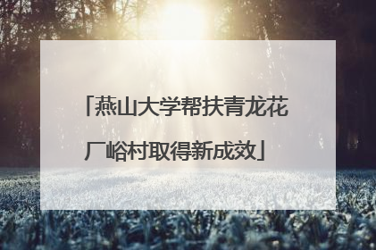 燕山大学帮扶青龙花厂峪村取得新成效