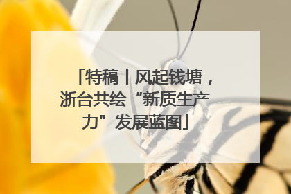 特稿丨风起钱塘，浙台共绘“新质生产力”发展蓝图