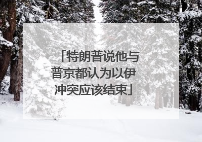 特朗普说他与普京都认为以伊冲突应该结束
