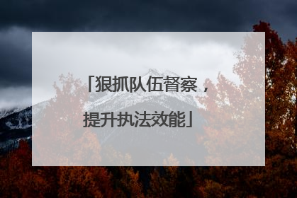 狠抓队伍督察，提升执法效能