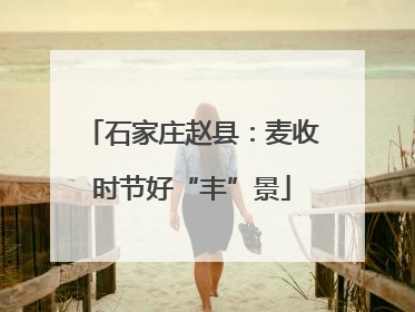 石家庄赵县：麦收时节好“丰”景