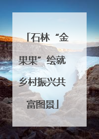 石林“金果果”绘就乡村振兴共富图景