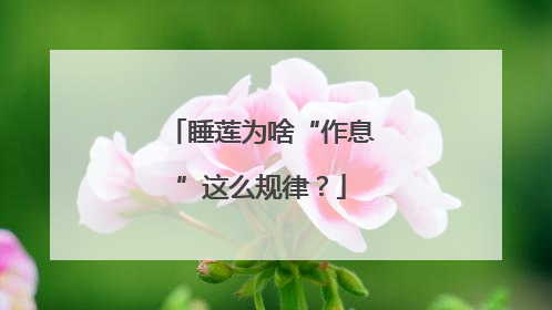 睡莲为啥“作息”这么规律？