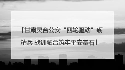 甘肃灵台公安“四轮驱动”砺精兵 战训融合筑牢平安基石