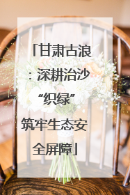 甘肃古浪：深耕治沙“织绿” 筑牢生态安全屏障