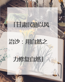 甘肃民勤以风治沙：用自然之力修复自然