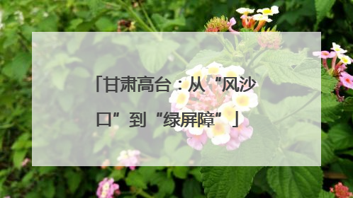 甘肃高台：从“风沙口”到“绿屏障”