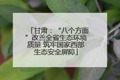 甘肃：“八个方面”改善全省生态环境质量 筑牢国家西部生态安全屏障