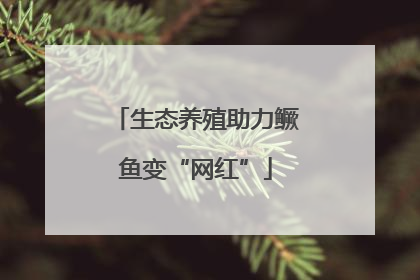 生态养殖助力鳜鱼变“网红”