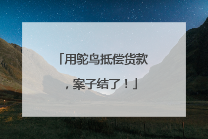 用鸵鸟抵偿货款，案子结了！