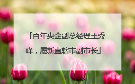 百年央企副总经理王秀峰，履新直辖市副市长