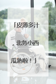 皮薄多汁，北务小西瓜熟啦！
