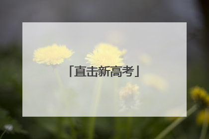 直击新高考