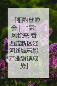 相约丝博会｜“氢”风徐来 看西咸新区泾河新城氢能产业聚链成势