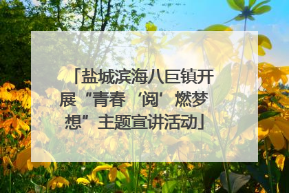 盐城滨海八巨镇开展“青春‘阅’燃梦想”主题宣讲活动