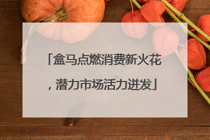 盒马点燃消费新火花，潜力市场活力迸发