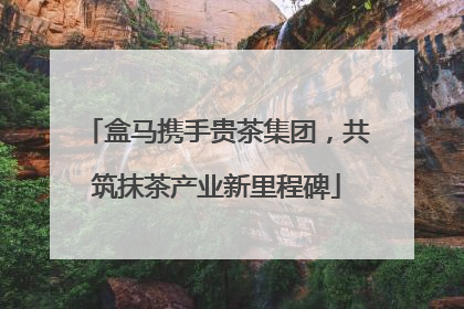 盒马携手贵茶集团，共筑抹茶产业新里程碑