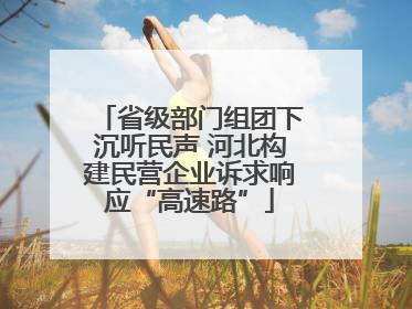 省级部门组团下沉听民声 河北构建民营企业诉求响应“高速路”