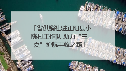 省供销社驻正阳县小陈村工作队 助力“三夏”护航丰收之路
