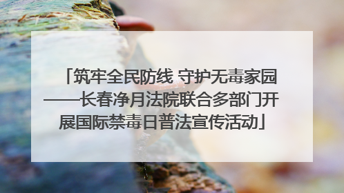 筑牢全民防线 守护无毒家园——长春净月法院联合多部门开展国际禁毒日普法宣传活动