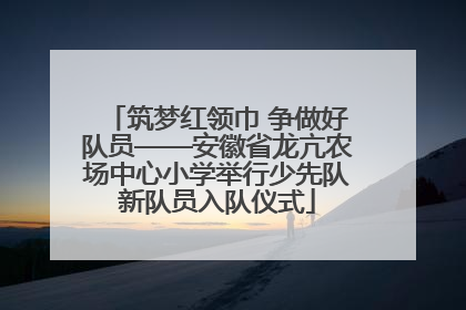 筑梦红领巾 争做好队员——安徽省龙亢农场中心小学举行少先队新队员入队仪式