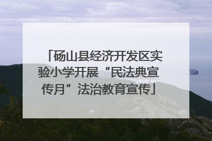 砀山县经济开发区实验小学开展“民法典宣传月”法治教育宣传