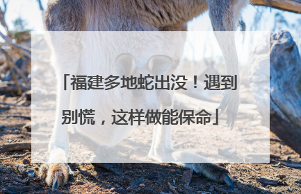 福建多地蛇出没！遇到别慌，这样做能保命