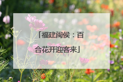 福建闽侯：百合花开迎客来