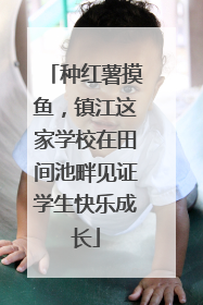 种红薯摸鱼，镇江这家学校在田间池畔见证学生快乐成长