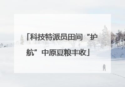 科技特派员田间“护航”中原夏粮丰收