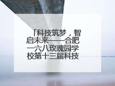 科技筑梦，智启未来——合肥一六八玫瑰园学校第十三届科技节机器人系列体验赛燃动校园