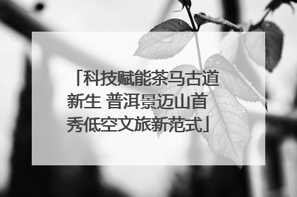科技赋能茶马古道新生 普洱景迈山首秀低空文旅新范式