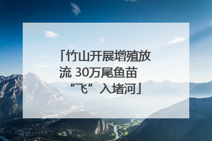 竹山开展增殖放流 30万尾鱼苗“飞”入堵河