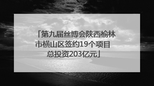 第九届丝博会陕西榆林市横山区签约19个项目 总投资203亿元