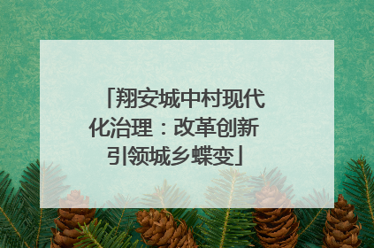 翔安城中村现代化治理：改革创新引领城乡蝶变