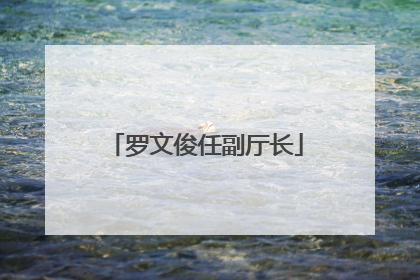 罗文俊任副厅长