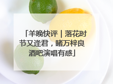 羊晚快评｜落花时节又逢君，睹万梓良酒吧演唱有感