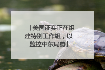 美国证实正在组建特别工作组，以监控中东局势