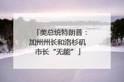 美总统特朗普：加州州长和洛杉矶市长“无能”