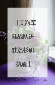 美海军陆战队进驻洛杉矶执勤