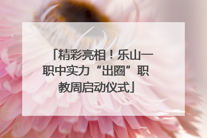 精彩亮相！乐山一职中实力“出圈”职教周启动仪式