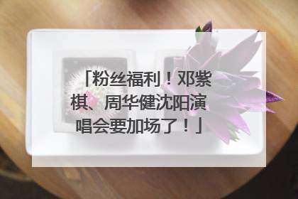粉丝福利！邓紫棋、周华健沈阳演唱会要加场了！