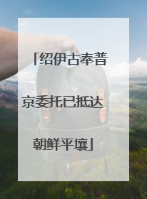 绍伊古奉普京委托已抵达朝鲜平壤