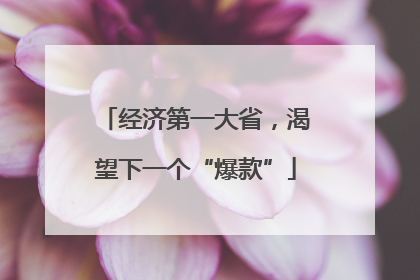 经济第一大省，渴望下一个“爆款”