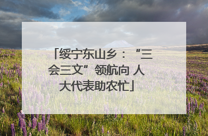 绥宁东山乡：“三会三文”领航向 人大代表助农忙