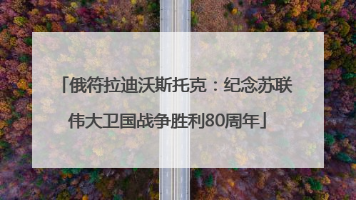 俄符拉迪沃斯托克：纪念苏联伟大卫国战争胜利80周年