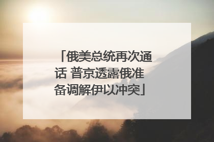 俄美总统再次通话 普京透露俄准备调解伊以冲突