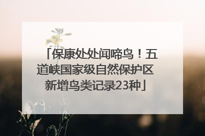 保康处处闻啼鸟！五道峡国家级自然保护区新增鸟类记录23种